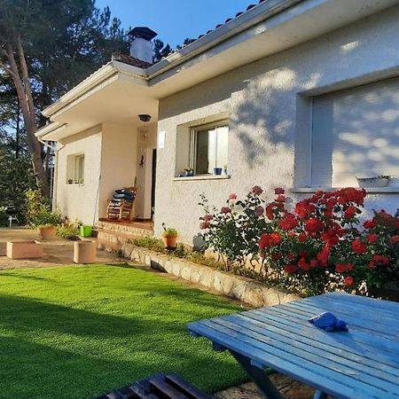דירות Pedrezuela Entre Pinos Y Medusas מראה חיצוני תמונה