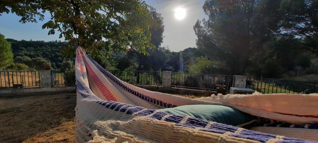 דירות Pedrezuela Entre Pinos Y Medusas מראה חיצוני תמונה